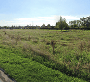 Detailfoto-Drieskens-2 Detailfoto-Drieskens-2