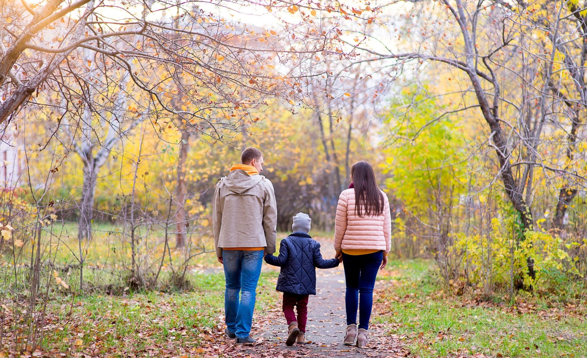 shutterstock_506687221-1-2