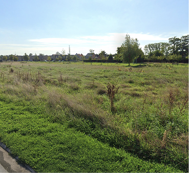 Detailfoto-Drieskens-2 Detailfoto-Drieskens-2